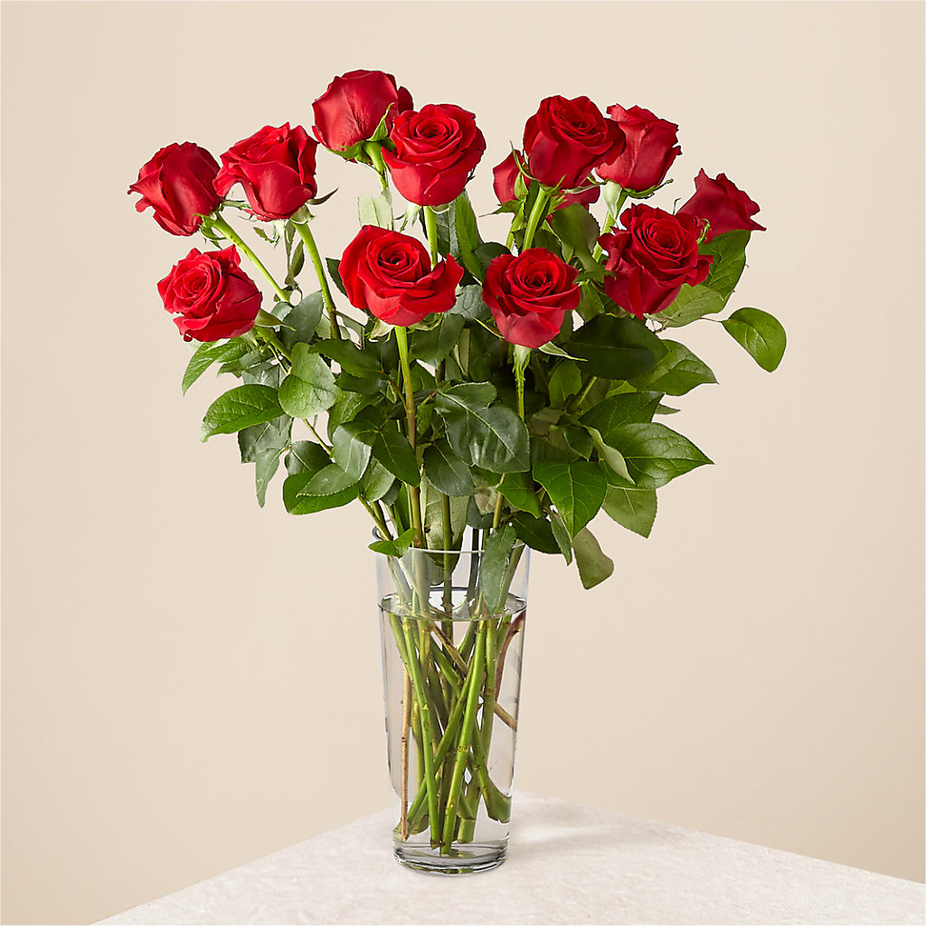 Long Stem Red Rose Bouquet – Lynchburg Leo Wood Florist, Lynchburg VA