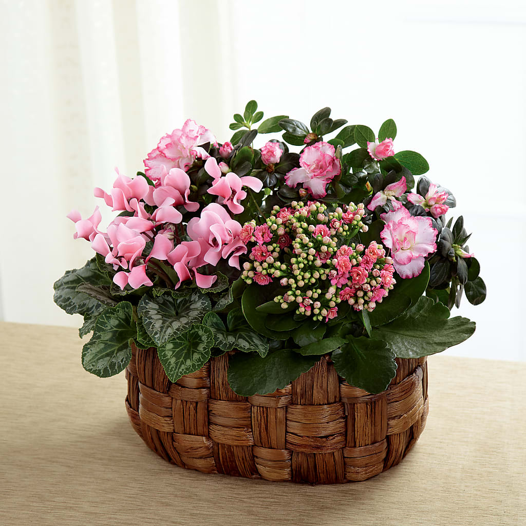 Pink Assortment – Lynchburg Leo Wood Florist, Lynchburg VA