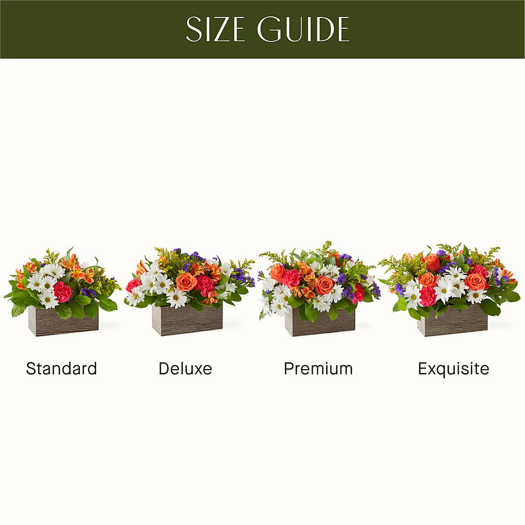 Oopsie Daisy Box Bouquet – Lynchburg Leo Wood Florist, Lynchburg VA