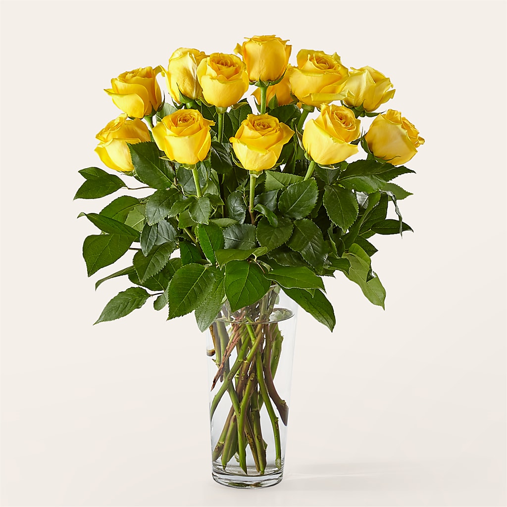 Long Stem Yellow Rose Bouquet – Lynchburg Leo Wood Florist, Lynchburg VA