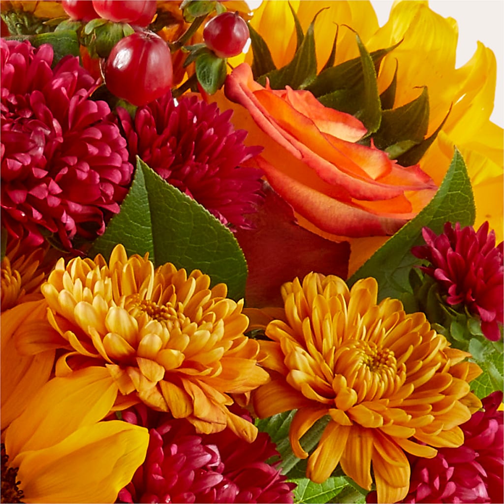 Sweater Season - A Florist Original – Lynchburg Leo Wood Florist, Lynchburg VA