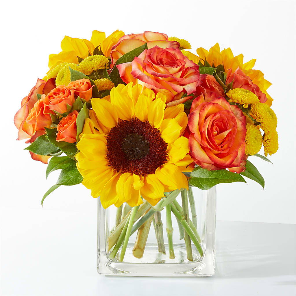 Picnic in the Park Bouquet – Lynchburg Leo Wood Florist, Lynchburg VA