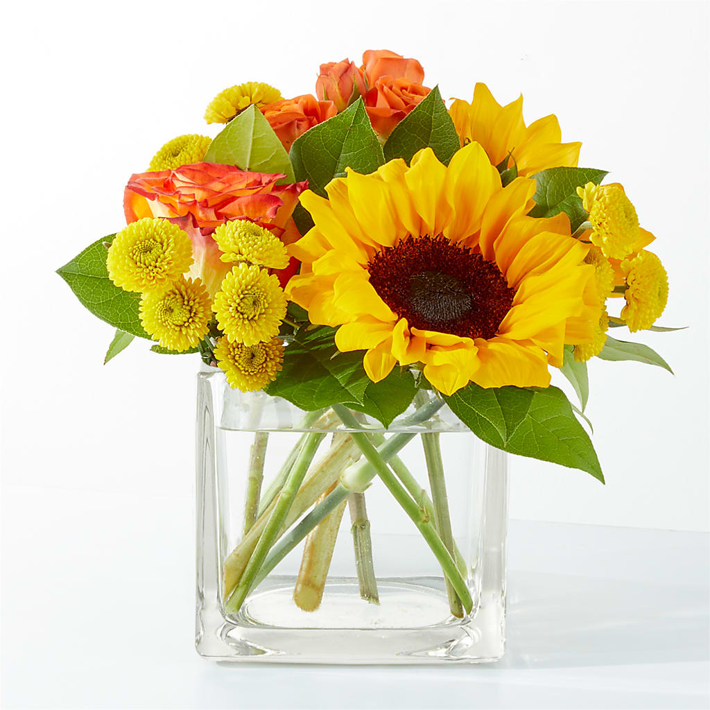 Picnic in the Park Bouquet – Lynchburg Leo Wood Florist, Lynchburg VA