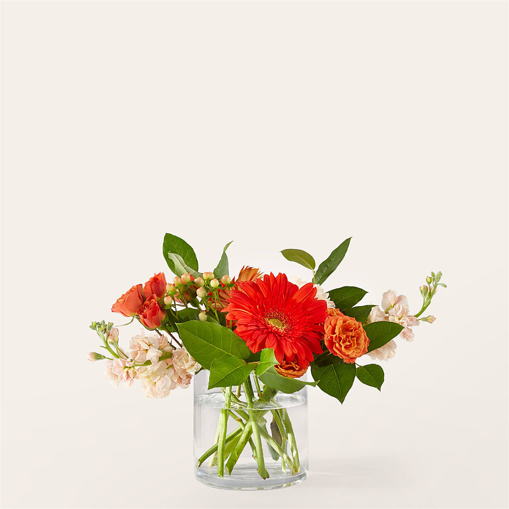 Paloma Please Bouquet – Lynchburg Leo Wood Florist, Lynchburg VA