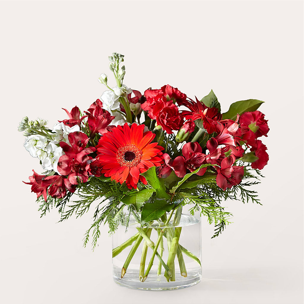 Holidaisy Bouquet – Lynchburg Leo Wood Florist, Lynchburg VA
