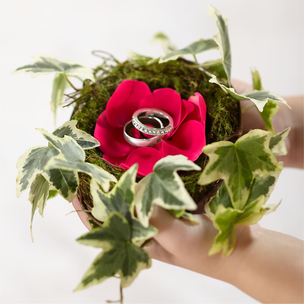 Lila Rose Ring Nest – Lynchburg Leo Wood Florist, Lynchburg VA