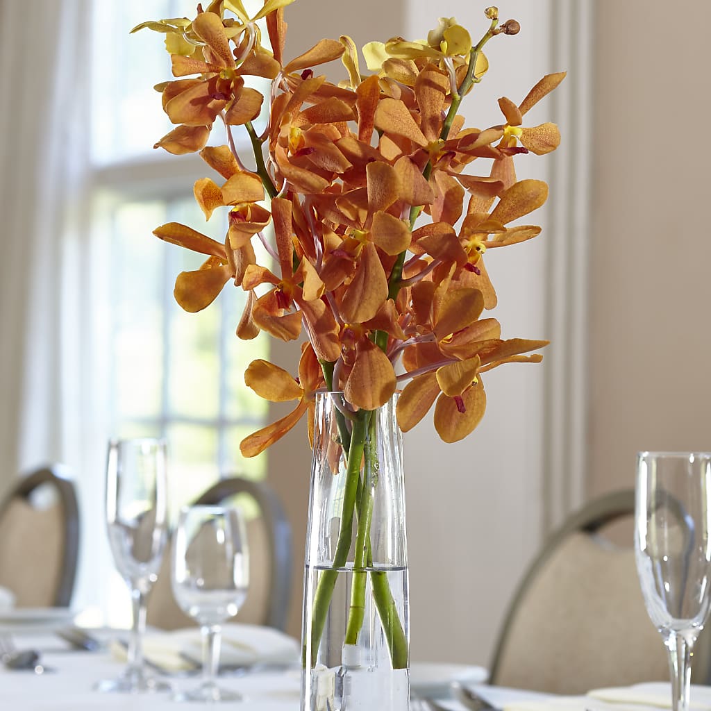 Orange Mokara Bud Vase – Lynchburg Leo Wood Florist, Lynchburg VA