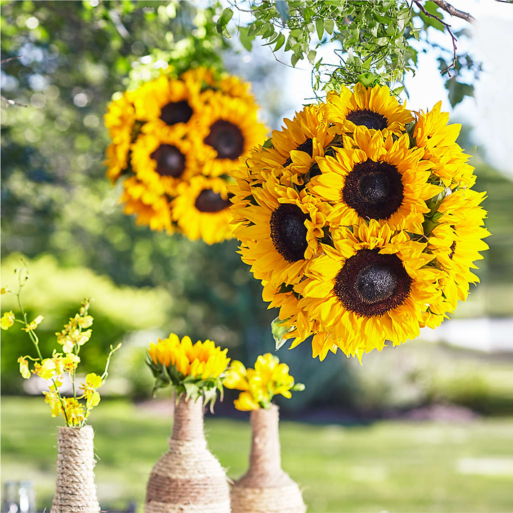 Sublime Garden Hanging Arrangement – Lynchburg Leo Wood Florist, Lynchburg VA