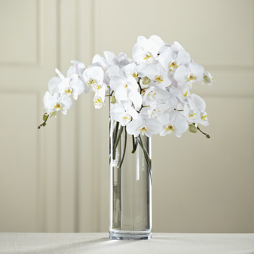 White Phalaenopsis Bouquet – Lynchburg Leo Wood Florist, Lynchburg VA