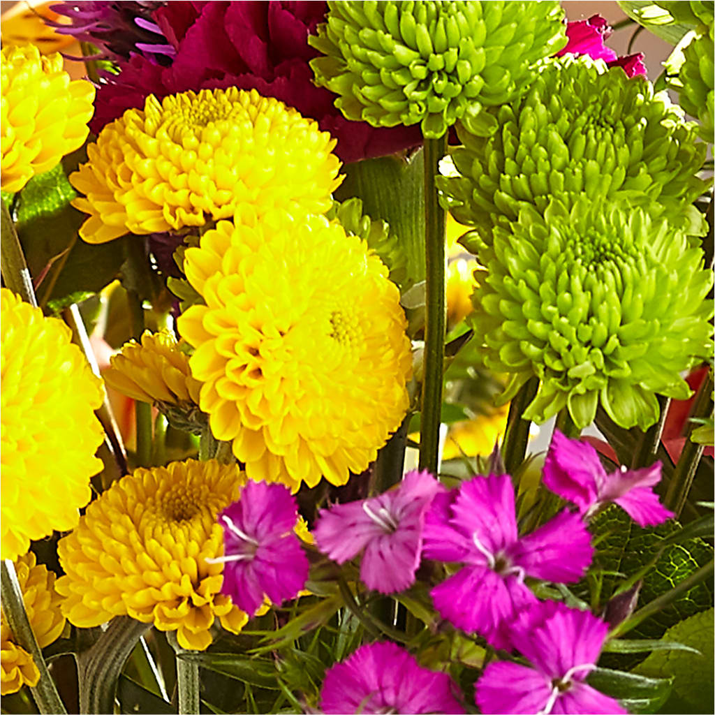 Bold & Bright – A Florist Original –  Lynchburg Leo Wood Florist, Lynchburg VA