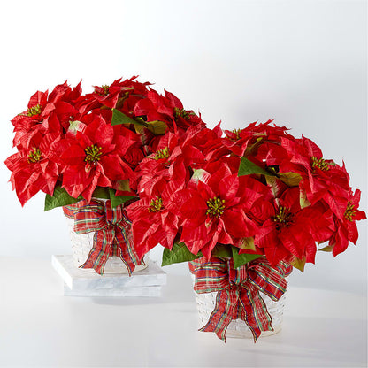 Happiest Holidays Poinsettia Bundle –  Lynchburg Leo Wood Florist, Lynchburg VA