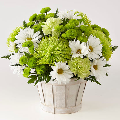 Lucky Charm Basket (Standard) –  Lynchburg Leo Wood Florist, Lynchburg VA