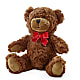 Adorable Plush Bear –  Lynchburg Leo Wood Florist, Lynchburg VA