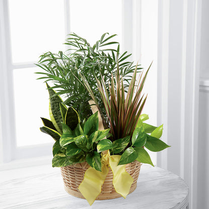 French Garden –  Lynchburg Leo Wood Florist, Lynchburg VA