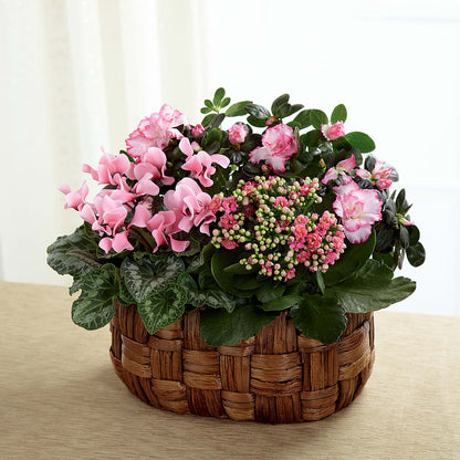 Pink Assortment –  Lynchburg Leo Wood Florist, Lynchburg VA