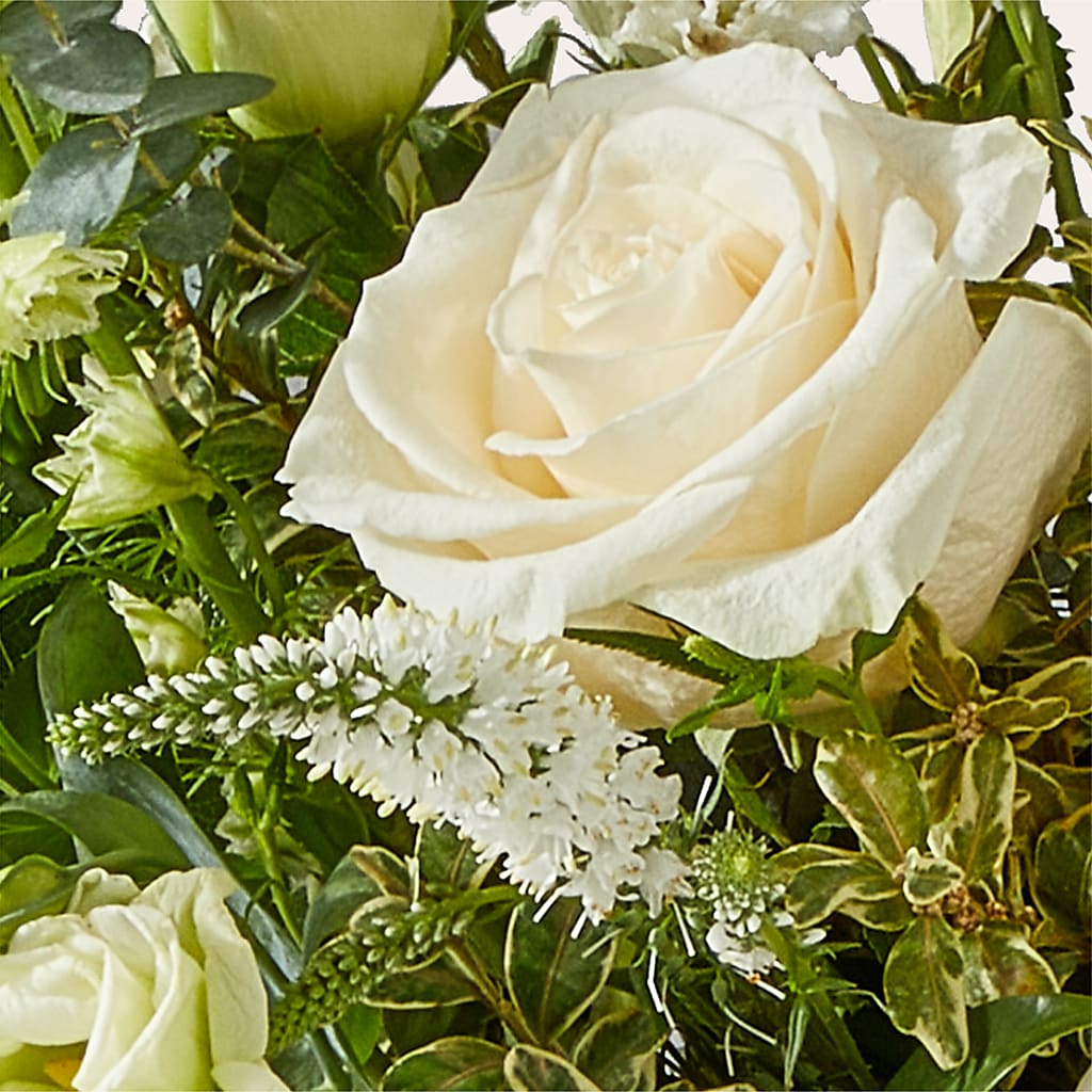 Cashmere Bouquet –  Lynchburg Leo Wood Florist, Lynchburg VA