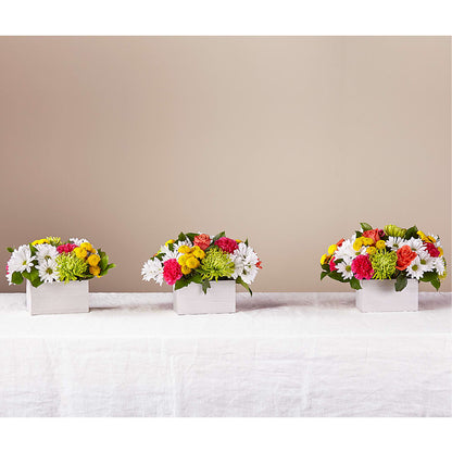 Sorbet Bouquet –  Lynchburg Leo Wood Florist, Lynchburg VA