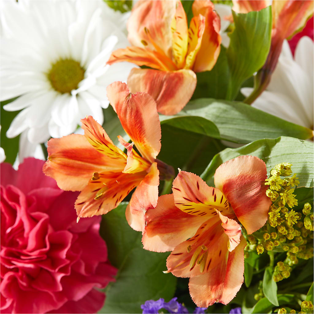 Oopsie Daisy Box Bouquet –  Lynchburg Leo Wood Florist, Lynchburg VA
