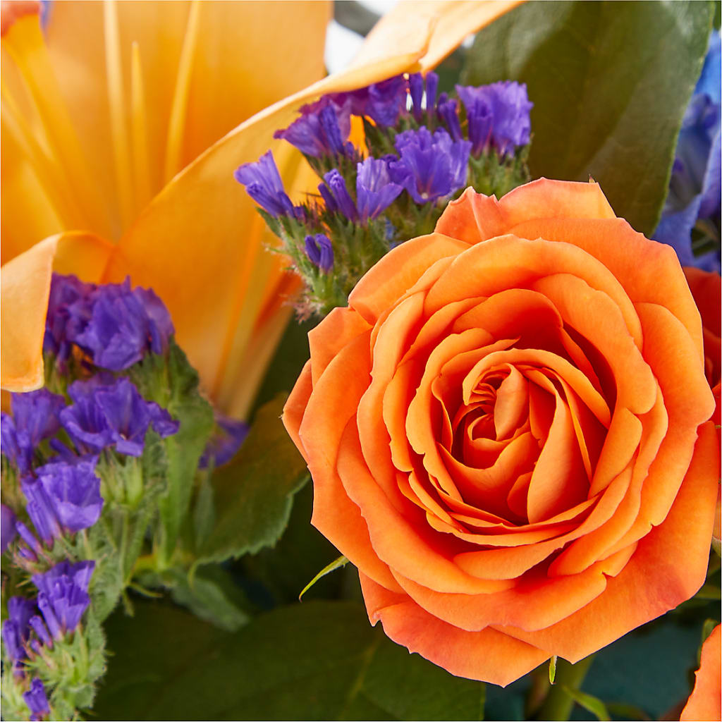 Radiant Citrus Box Bouquet –  Lynchburg Leo Wood Florist, Lynchburg VA