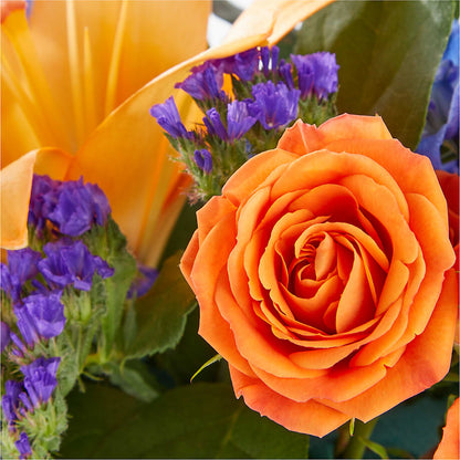 Radiant Citrus Box Bouquet –  Lynchburg Leo Wood Florist, Lynchburg VA