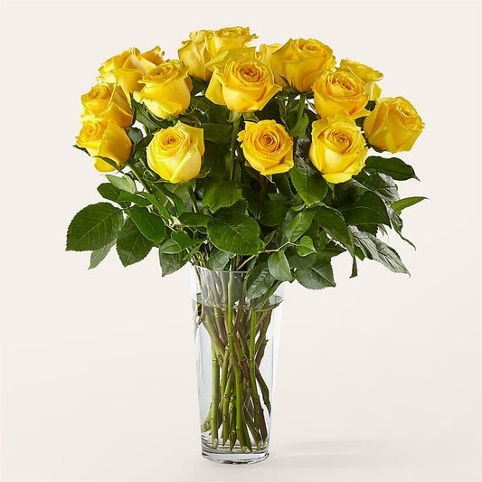 Long Stem Yellow Rose Bouquet –  Lynchburg Leo Wood Florist, Lynchburg VA