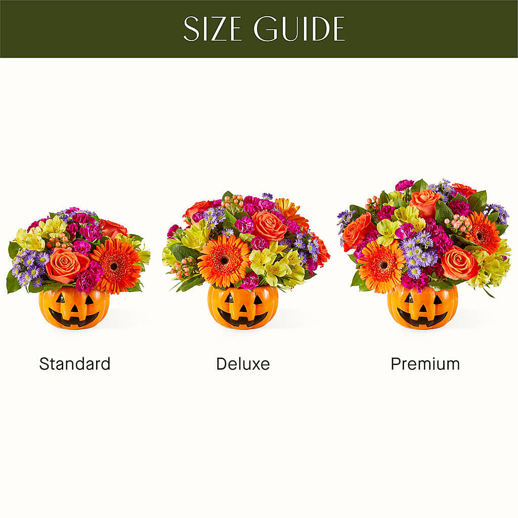 Tricks & Treats Pumpkin –  Lynchburg Leo Wood Florist, Lynchburg VA