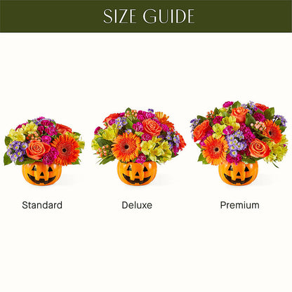 Tricks & Treats Pumpkin –  Lynchburg Leo Wood Florist, Lynchburg VA