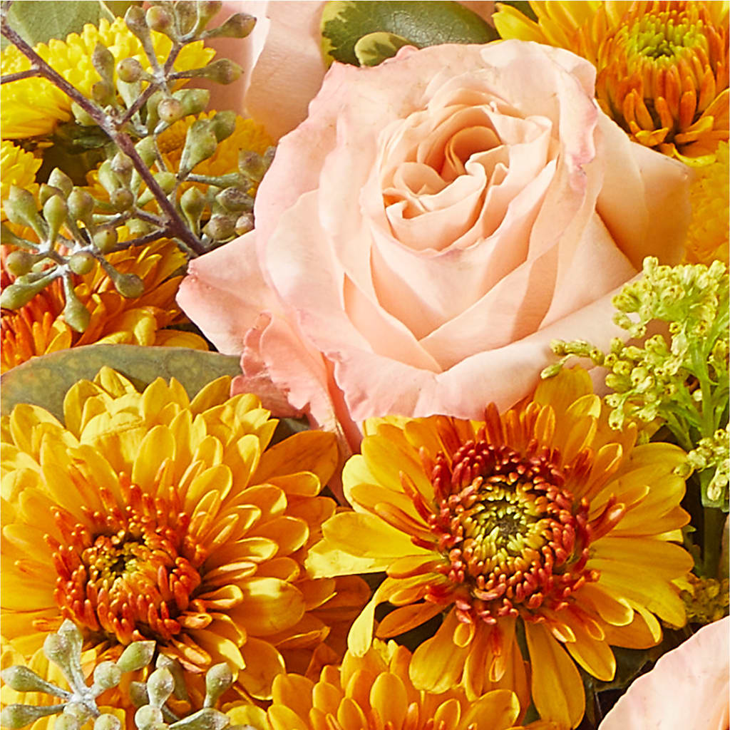 Peachy Pumpkin –  Lynchburg Leo Wood Florist, Lynchburg VA