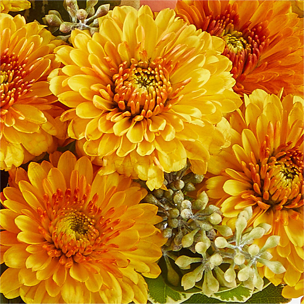 Peachy Pumpkin –  Lynchburg Leo Wood Florist, Lynchburg VA