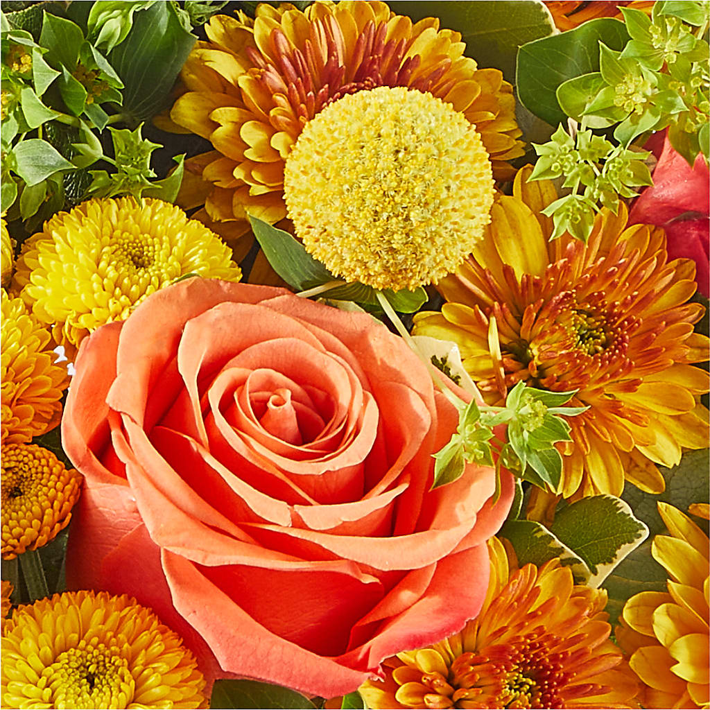 Gourdgeous Pumpkin –  Lynchburg Leo Wood Florist, Lynchburg VA