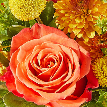 Gourdgeous Pumpkin –  Lynchburg Leo Wood Florist, Lynchburg VA