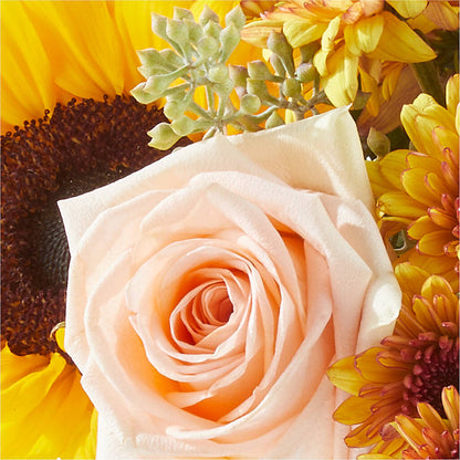 Pumpkin to Talk About Bouquet –  Lynchburg Leo Wood Florist, Lynchburg VA