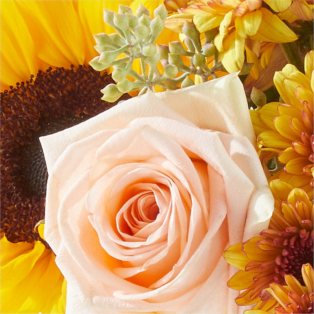 Pumpkin to Talk About Bouquet –  Lynchburg Leo Wood Florist, Lynchburg VA