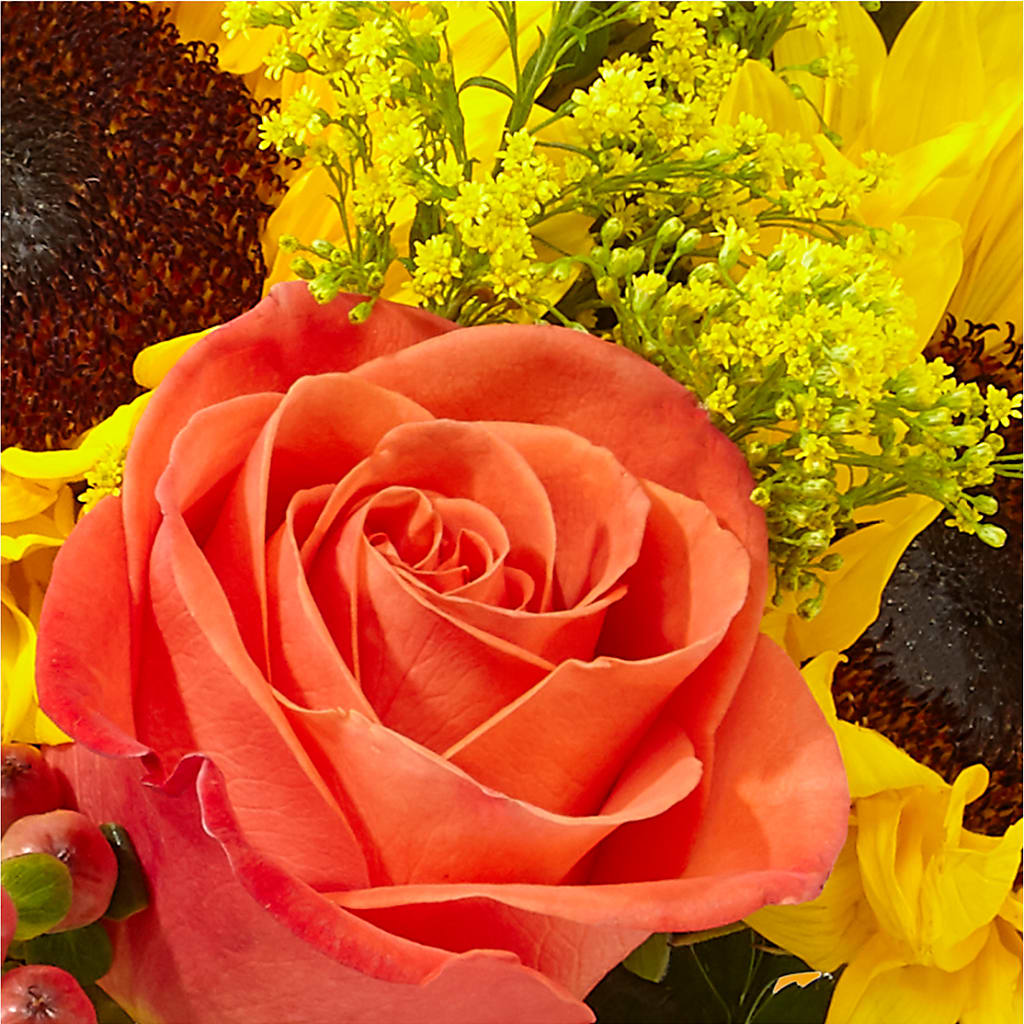 Pick of the Patch Pumpkin Bouquet –  Lynchburg Leo Wood Florist, Lynchburg VA