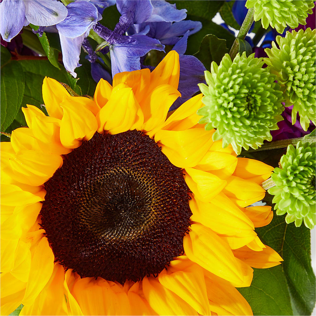 Catching Rays Bouquet –  Lynchburg Leo Wood Florist, Lynchburg VA