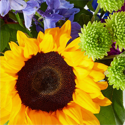 Catching Rays Bouquet –  Lynchburg Leo Wood Florist, Lynchburg VA