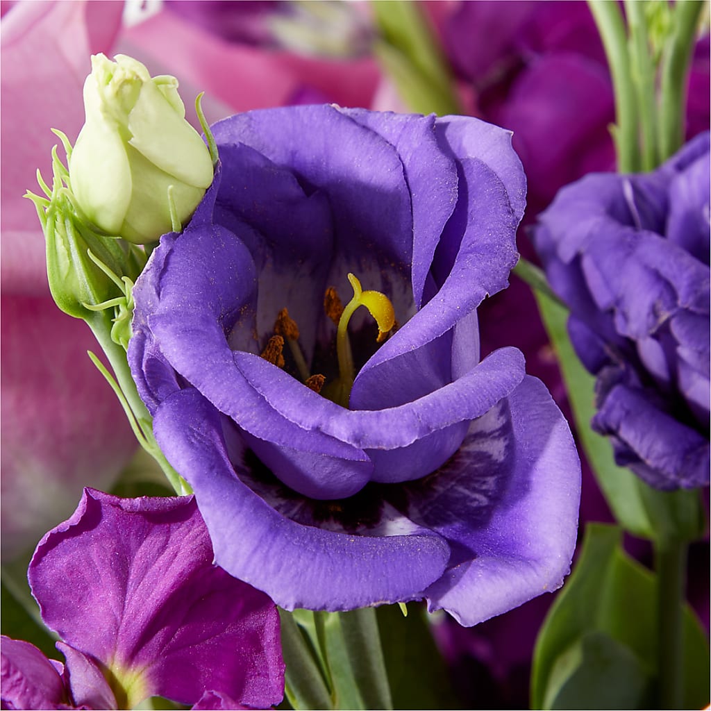 Twilight Glow Bouquet –  Lynchburg Leo Wood Florist, Lynchburg VA