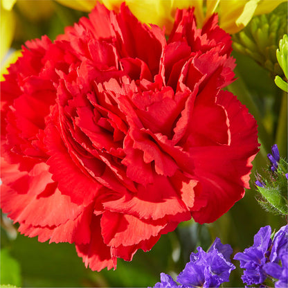 Brighter Days Bouquet –  Lynchburg Leo Wood Florist, Lynchburg VA