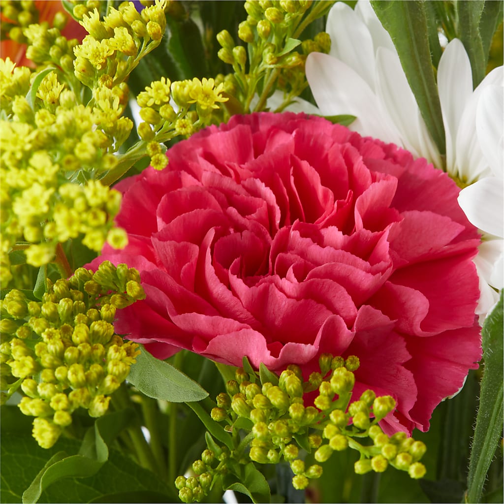 Oopsie Daisy Bouquet –  Lynchburg Leo Wood Florist, Lynchburg VA