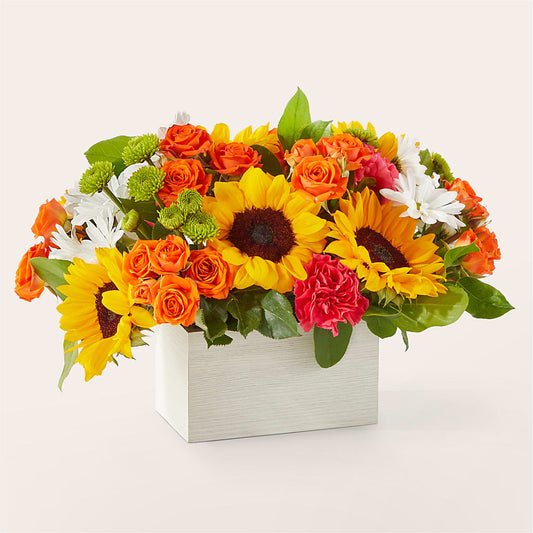 Sun-drenched Blooms Box Bouquet –  Lynchburg Leo Wood Florist, Lynchburg VA