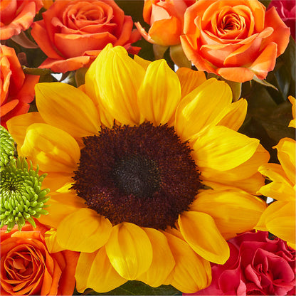 Sun-drenched Blooms Box Bouquet –  Lynchburg Leo Wood Florist, Lynchburg VA