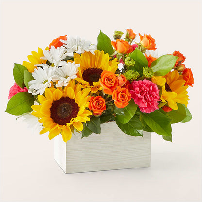 Sun-drenched Blooms Box Bouquet