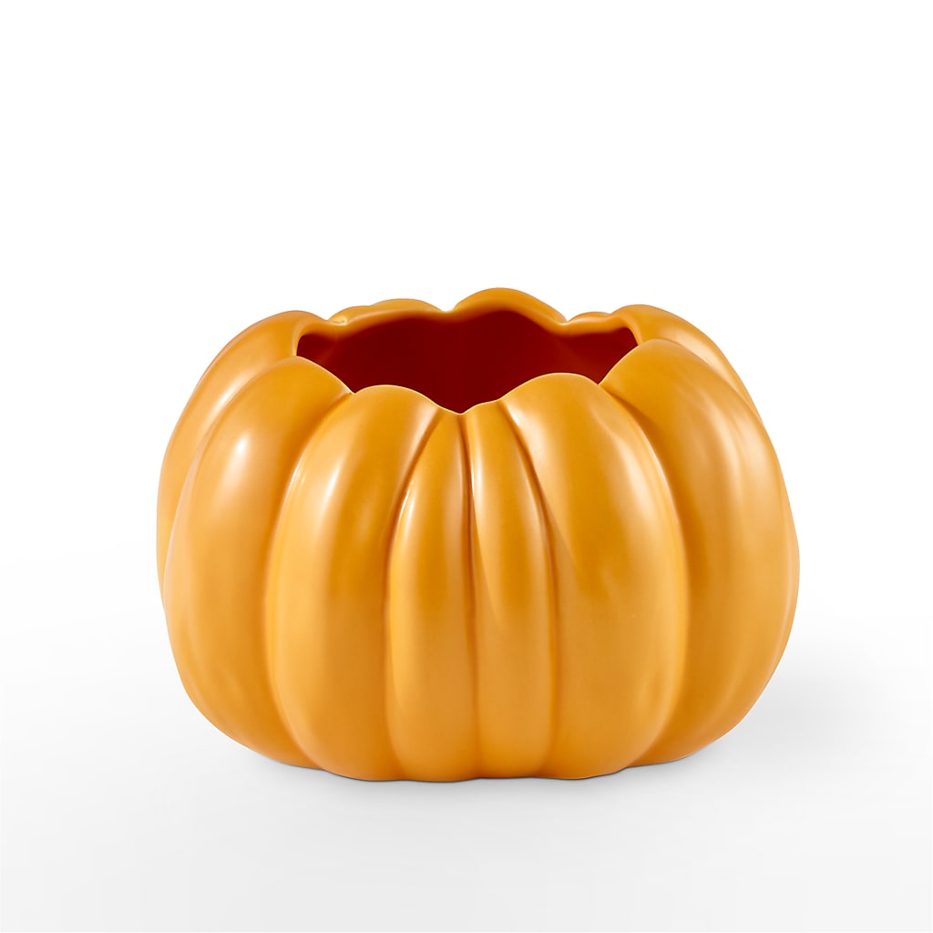 Pick of the Patch Pumpkin Bouquet –  Lynchburg Leo Wood Florist, Lynchburg VA
