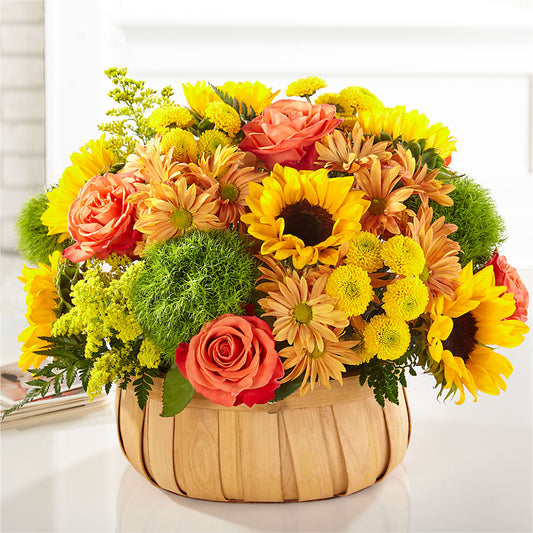 Harvest Sunflower Basket –  Lynchburg Leo Wood Florist, Lynchburg VA