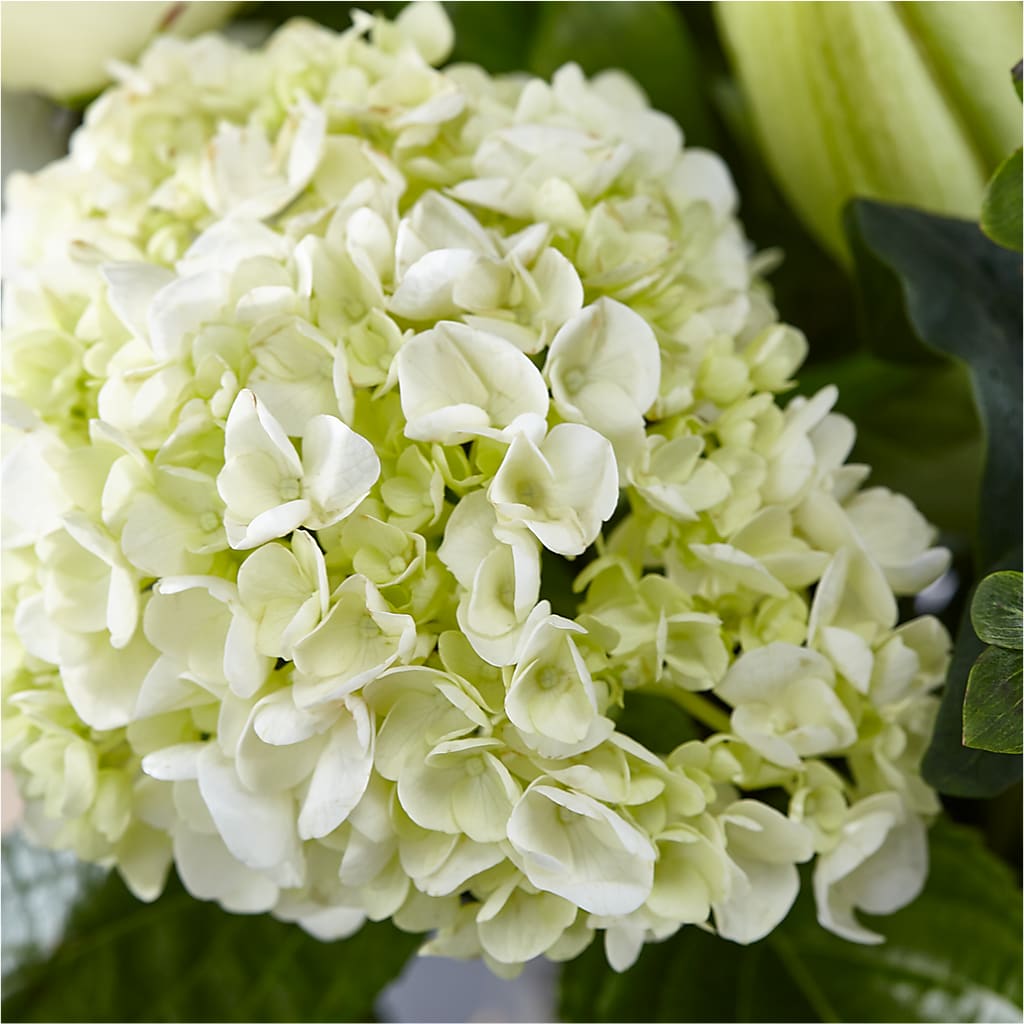 Classic Ivory – A Florist Original –  Lynchburg Leo Wood Florist, Lynchburg VA