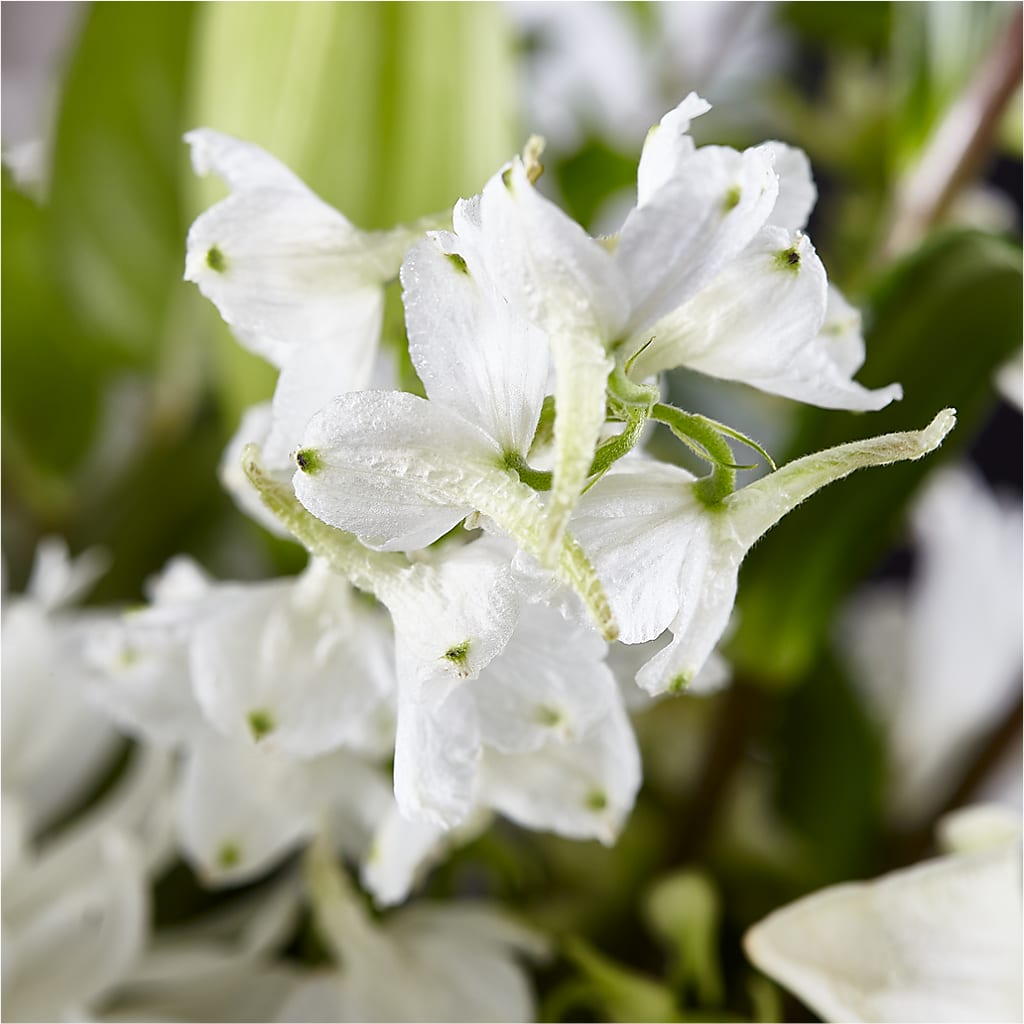 Classic Ivory – A Florist Original –  Lynchburg Leo Wood Florist, Lynchburg VA