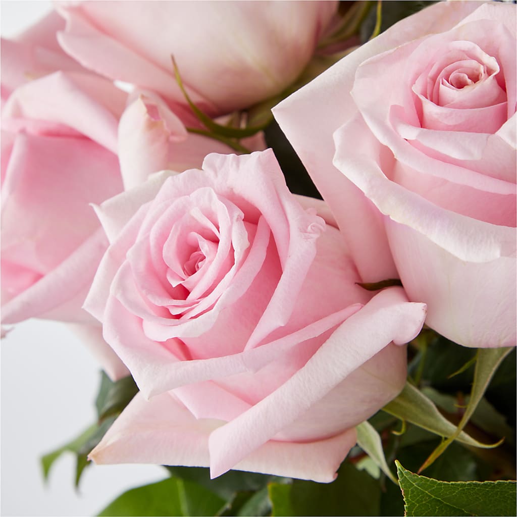 Picture Perfect Pink Rose Bouquet –  Lynchburg Leo Wood Florist, Lynchburg VA