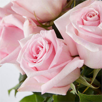 Picture Perfect Pink Rose Bouquet –  Lynchburg Leo Wood Florist, Lynchburg VA