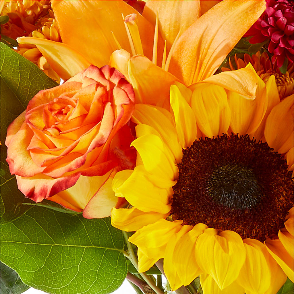 Fall Day Bouquet –  Lynchburg Leo Wood Florist, Lynchburg VA