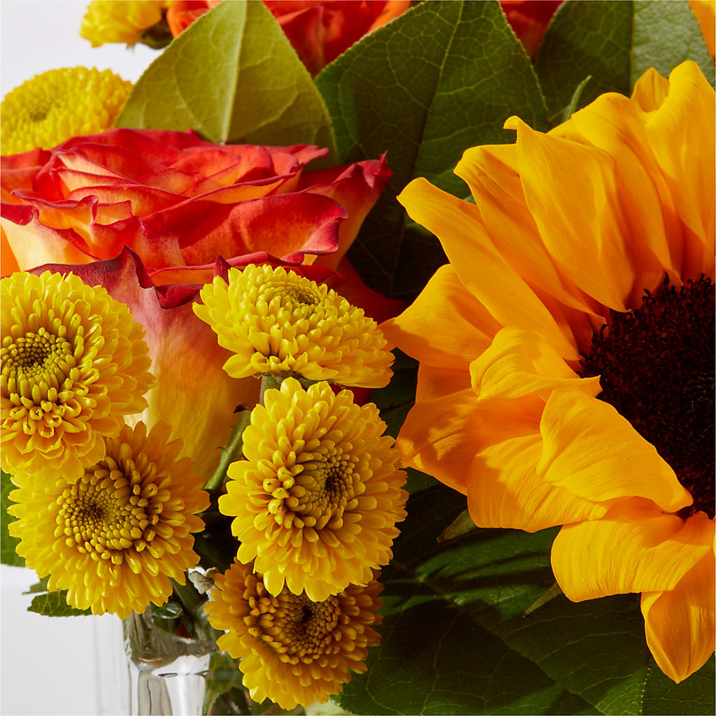 Picnic in the Park Bouquet –  Lynchburg Leo Wood Florist, Lynchburg VA
